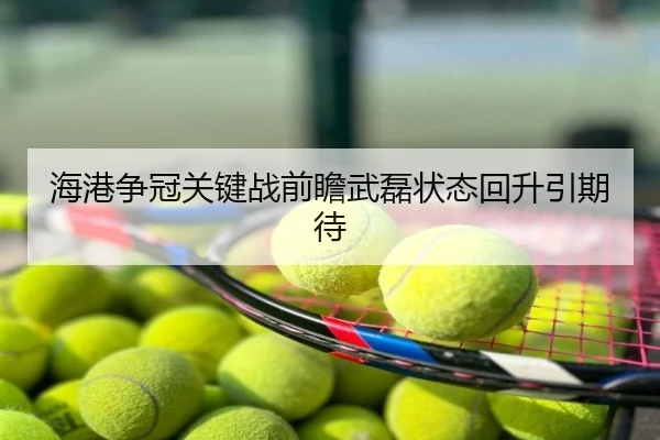 海港争冠关键战前瞻武磊状态回升引期待