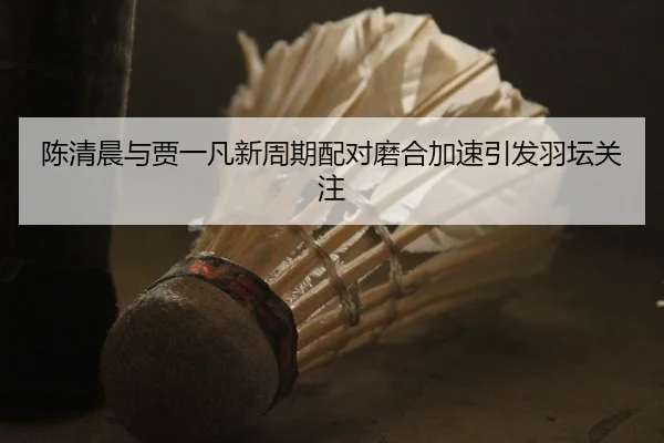 陈清晨与贾一凡新周期配对磨合加速引发羽坛关注