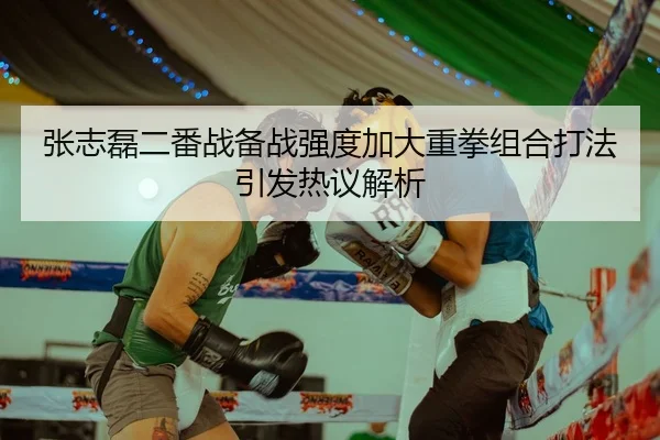 张志磊二番战备战强度加大重拳组合打法引发热议解析