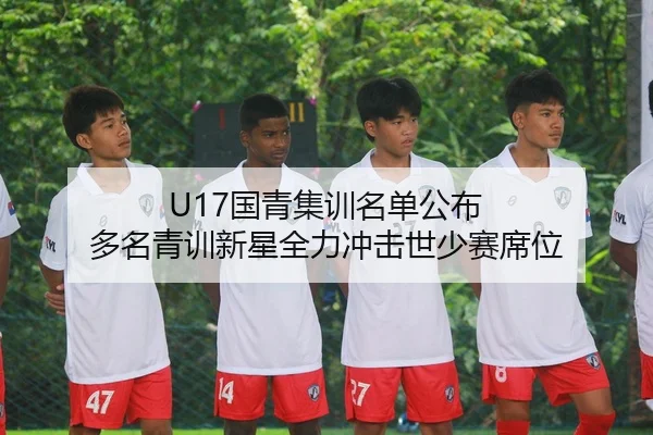 U17国青集训名单公布 多名青训新星全力冲击世少赛席位